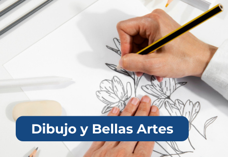 Dibujo y Bellas Artes